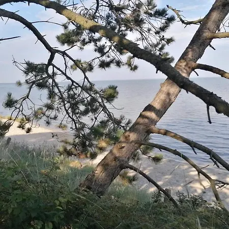 6 Person In Romo-by Traum *