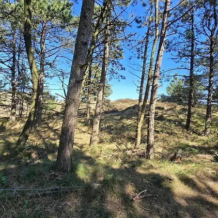 6 Person In Romo-by Traum Feriehus