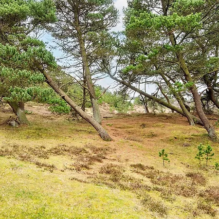 Feriehus 6 Person In Romo-by Traum Vesterhede